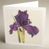 Greetings Cards - dark-purple-iris - textured (150x150)