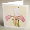 Greetings Cards - pink-and-white-iris - textured (150x150)