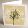 Greetings Cards - white-agapanthus-on-green - textured (150x150)