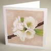 Greetings Cards - apple-blossom - textured (150x150)