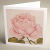 Greetings Cards - pink-rose - textured (150x150)