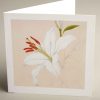 Greetings Cards - unfinished-white-lily - smooth