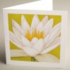 Greetings Cards - white-water-lily - smooth