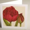 Greetings Cards - burgundy-uncle-tom-tulip - smooth