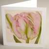 Greetings Cards - greenwave-tulip - smooth