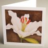 Greetings Cards - white-lily-on-brown - smooth