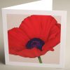 Greetings Cards - red-poppy - smooth