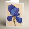 Greetings Cards - blue-iris - smooth