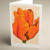 Greetings Cards - orange-parrot-tulip - smooth