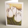 Greetings Cards - white-tulips - smooth