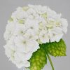 Greetings Cards - white-hydrangea - textured (150x150)