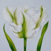 Greetings Cards - white-parrot-tulip - textured (150x150)