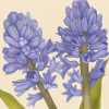 Round Melamine Tray - blue-hyacinth