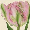 Square Glass Coaster - greenwave-tulip