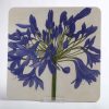 Square Melamine Table Mat - dark-blue-agapanthus