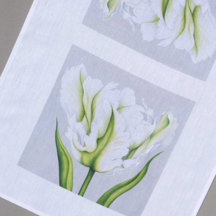 Apple Blossom - greetings-cards