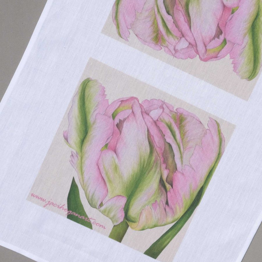 Apple Blossom - greetings-cards