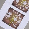 T-Towel - 100% Linen - white-agapanthus-on-brown
