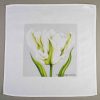 Napkins - Linen Cotton Mix - white-parrot-tulip