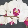 Large Rectangular Glass Table Mat / Platter - phalaenopsis-orchid