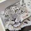 Wildlife Greeting Cards - snow-leopard - smooth (150x15)