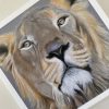 Wildlife Greeting Cards - lion - smooth (150x15)