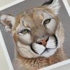 Wildlife Greeting Cards - cougar - smooth (150x15)
