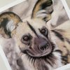 Wildlife Greeting Cards - african-wild-dog - smooth (150x15)