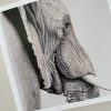 Wildlife Greeting Cards - elephant - smooth (150x15)