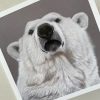 Wildlife Greeting Cards - polar-bear - smooth (150x15)