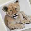 Wildlife Greeting Cards - lion-cub - smooth (150x15)
