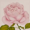 Square Melamine Coaster - pink-rose